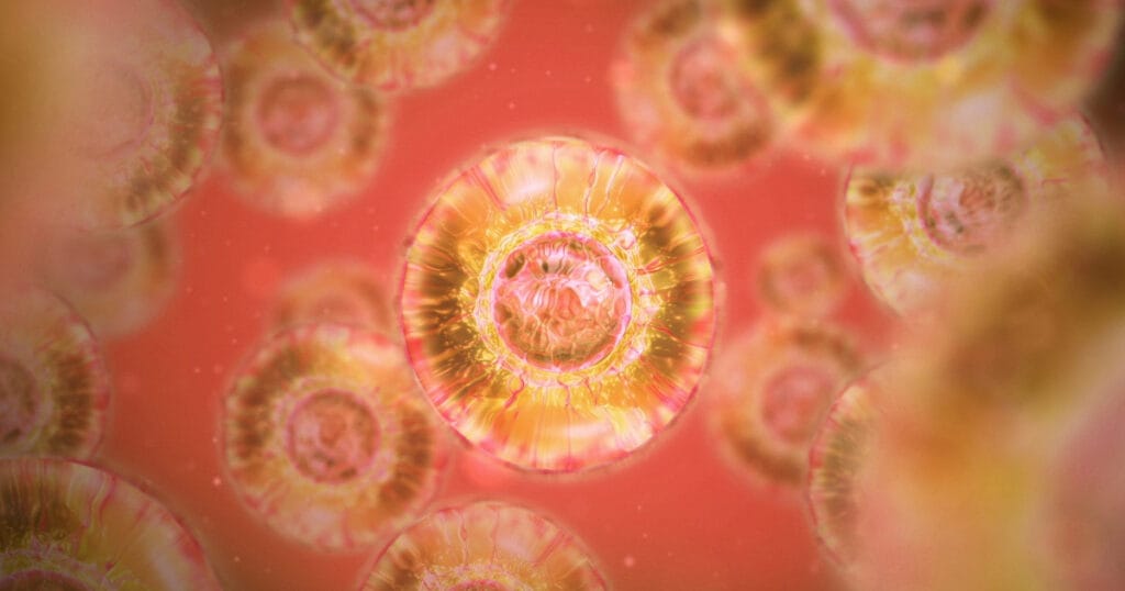 Kök Hücre Tedavisi: SVF ve BMAC